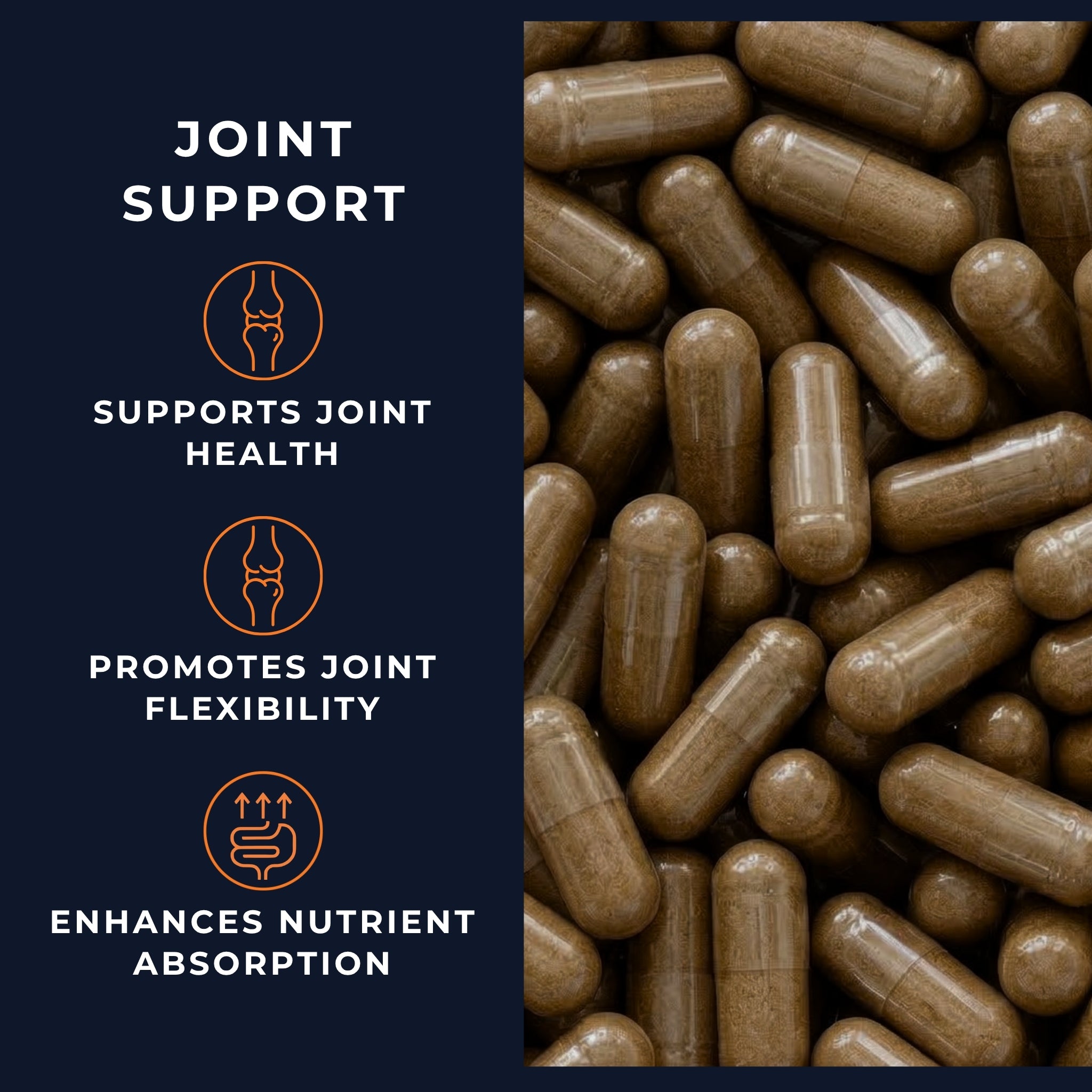 Joint Support